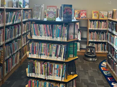 Bookshelves in New Dundee